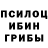 Галлюциногенные грибы GOLDEN TEACHER Mirjeta PERZHAKU
