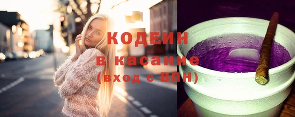 индика Балабаново