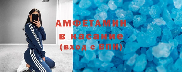 индика Балабаново