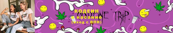 бошки Няндома