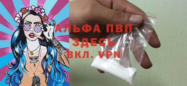 индика Балабаново