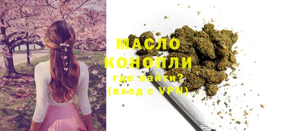 индика Балабаново