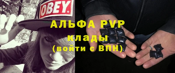 индика Балабаново