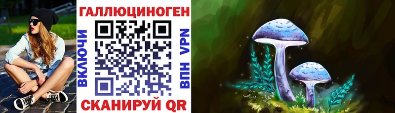 цены   Михайловск  Галлюциногенные грибы Psilocybe 