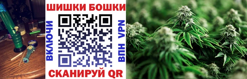 Канабис OG Kush  Михайловск 